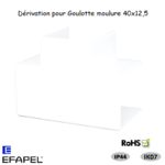 Dérivation pour goulotte série 10 Moulures 40x12,5 10051ABR