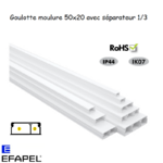 Goulotte moulure 50x20 10510
