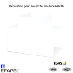 Dérivation pour goulotte série 10 Moulures 60x16 10071ABR