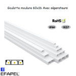 Goulotte moulure 60x16 avec séparateur 10070