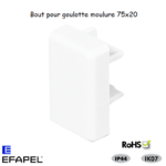 Bout pour goulotte série 10 Moulures 75x20 10145ABR