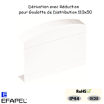 Dérivation avec réduction pour goulotte série 10 distribution 10098