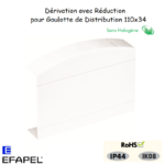Dérivation avec réduction pour goulotte série 10 distribution 10088GBR