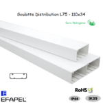 Goulotte distribution sans halogène 110x34 10080HBR