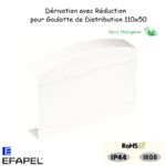 Dérivation avec réduction pour goulotte série 10 distribution 10098GBR
