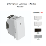 Interrupteur Lumineux 1 module Quadro 45015S