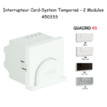 Interrupteur card system 2 modules Quadro 45033S