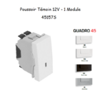 Poussoir témoin 12V 1 module Quadro 45157