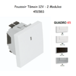 Poussoir témoin 12V 2 modules Quadro 45158