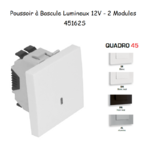 Poussoir à bascule Lumineux 12V 2 modules Quadro 45162S