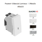 Poussoir à bascule Lumineux 1 module Quadro 45160S