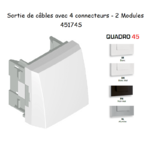 Sortie de câbles 2 modules de 4 bornes 45174S