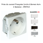 Prise de courant française droite 90° 2 modules Quadro 45476S