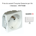 Prise de courant française droite 90° 2 modules Quadro 45479SBR Blanc