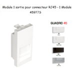 Module 1 sortie pour connecteur RJ45 45977S