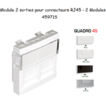 Module double pour connecteurs RJ45 45971S