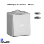 Interrupteur Lumineux Etanche 48 EFAPEL 48012C