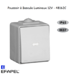 poussoir à bascule lumineux 12V Etanche 48 EFAPEL 48162C