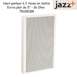 Haut parleur de 2 voies extraplan de 5'' 16 Ohm 75105CBR