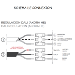 AKORA DALI - schéma de connexion