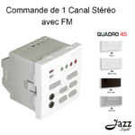 Commande de 1 canal Stéréo avec FM modules quadro45 45377S