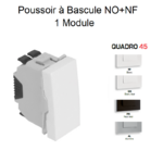 Poussoir à bascule NO+NF 1 module Quadro 45166S