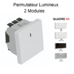 Permutateur Lumineux 2 modules Quadro 45052S