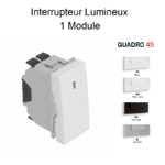 Interrupteur Lumineux 1 module Quadro 45015S