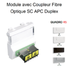 Module avec coupleur de fibre optique SC APC Duplex Quadro 45448S