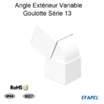 Angle extérieur variable pour goulotte série 13