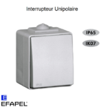 Interrupteur Unipolaire Etanche 48 EFAPEL 48011C