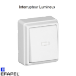Interrupteur lumineux Série 3700 EFAPEL 37012C