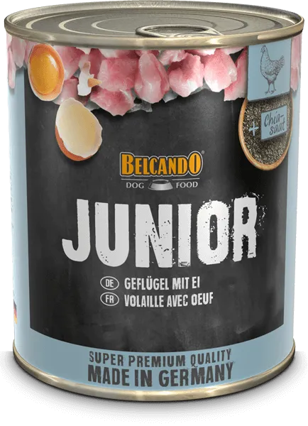 Belcando-Dose-Junior-800g_800x800