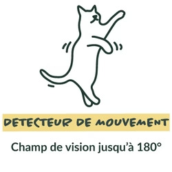 detecteur-de-mouvement-2