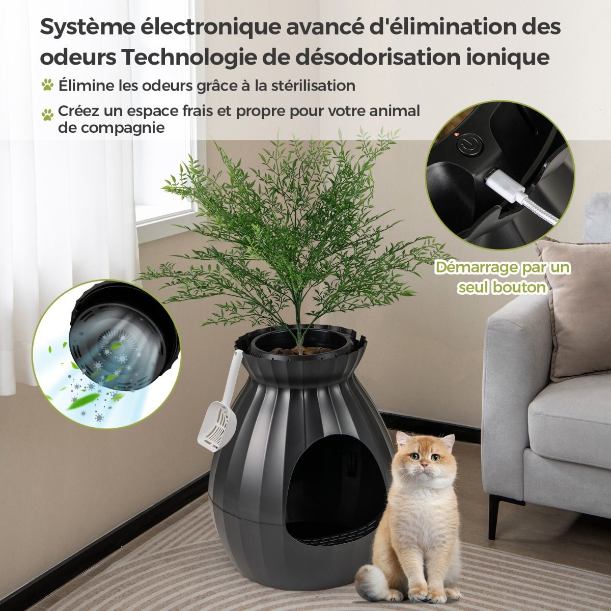 bac_liti_re_d_coratif-82371065_3__1