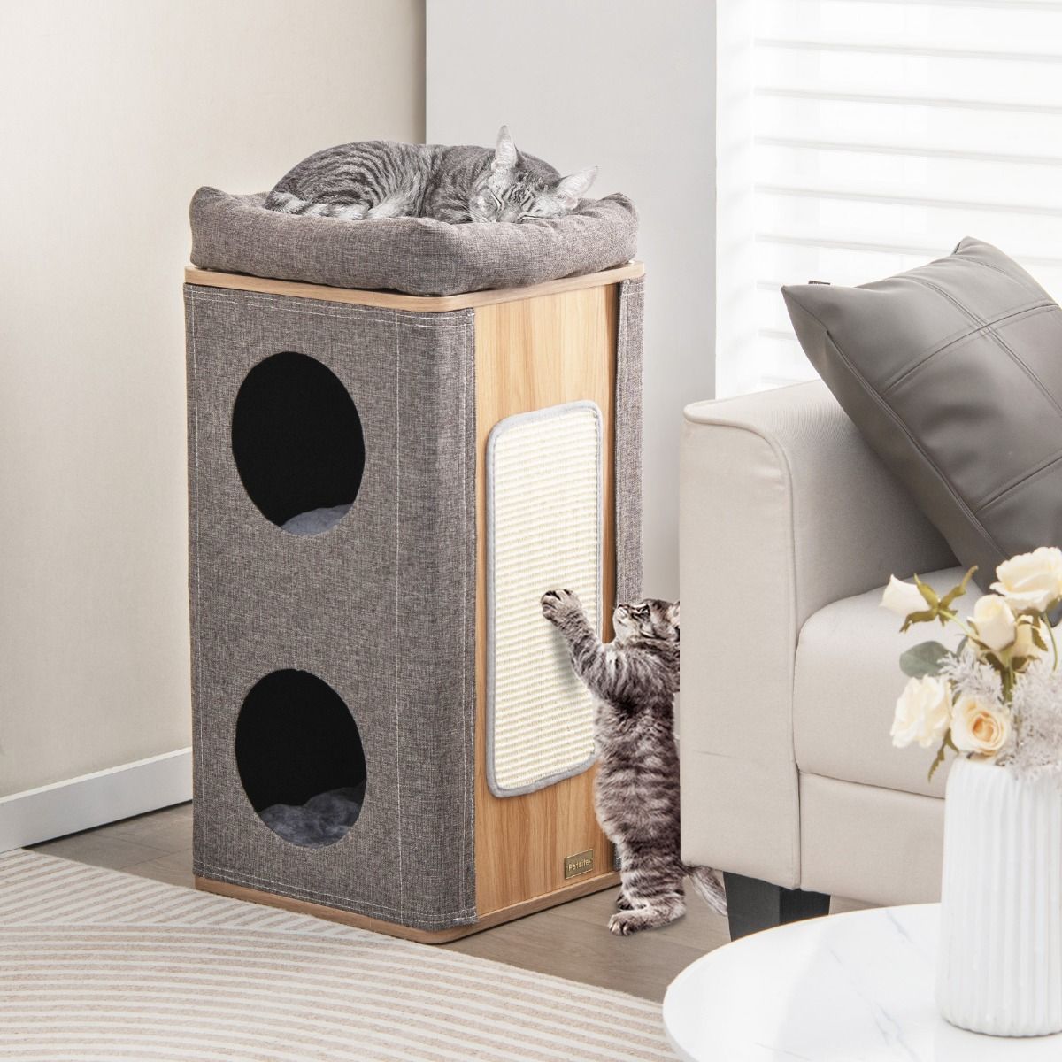 maison_de_chat-pv10088gr_1_
