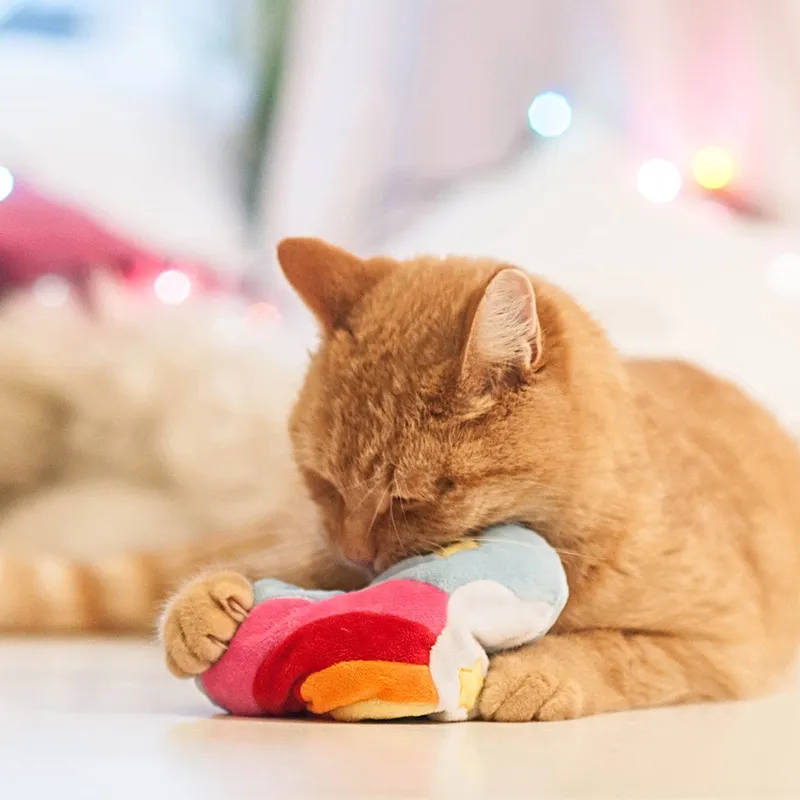 72915_aumueller_katzenspielzeug_regenbogenherz_hs_image_magicrainbowherz_04_0