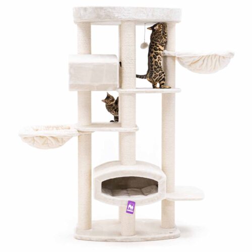 437456-Drive-195-cream-5-500x500