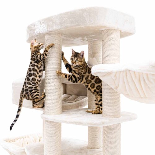 437456-Drive-195-cream-29-500x500