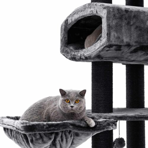 437458-Drive-195-pepper-4-500x500