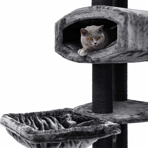 437458-Drive-195-pepper-11-500x500