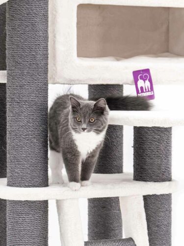 435992-Estate-170-off-white-16-375x500