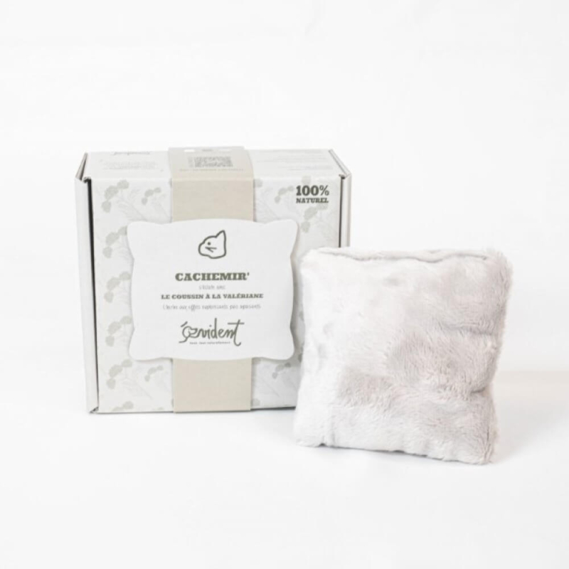 coussin-a-la-valeriane (1)