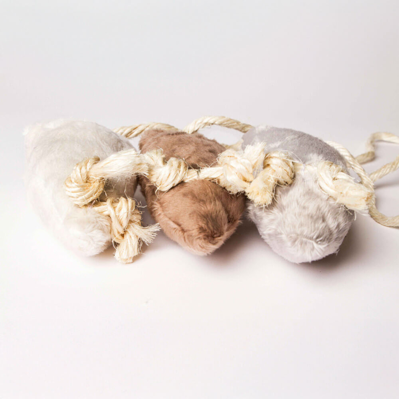 souris-a-la-valeriane (3)