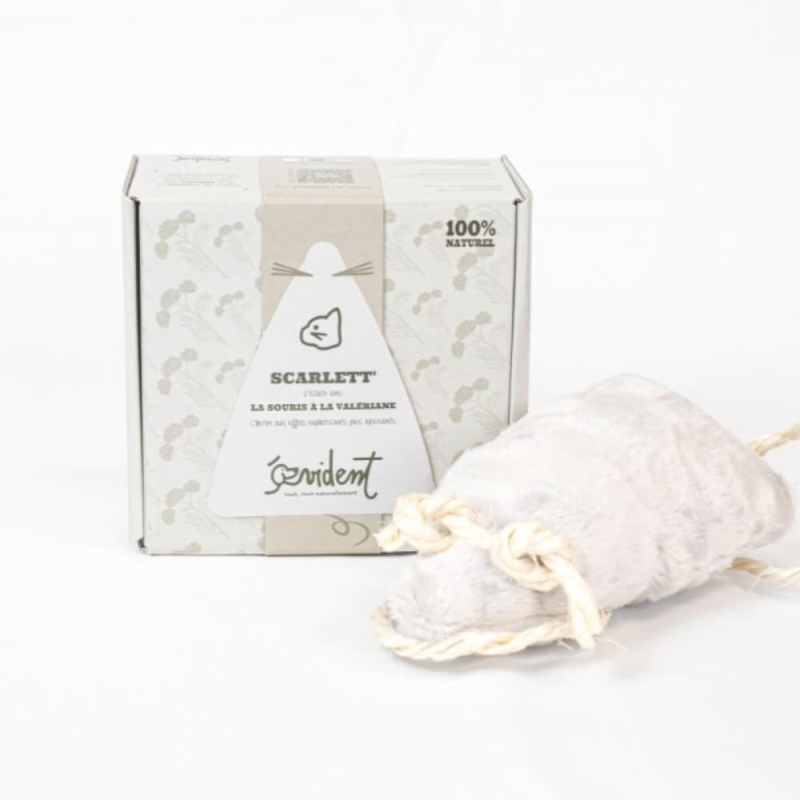 souris-a-la-valeriane (1)