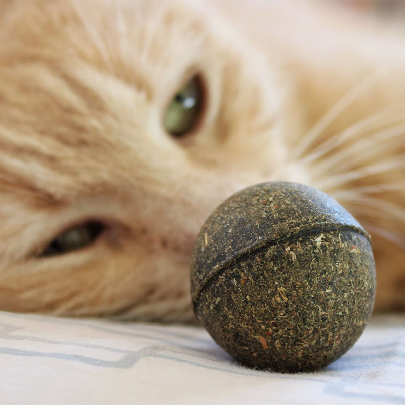 balle-d-herbe-a-chat (2)