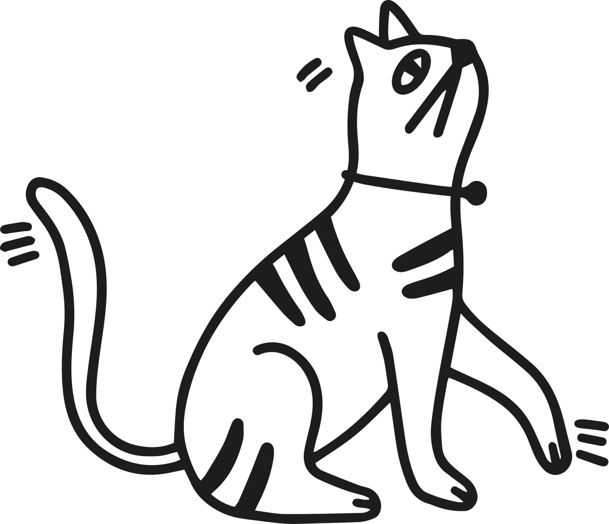 yogupet-ilustraciones-gato-clasicos