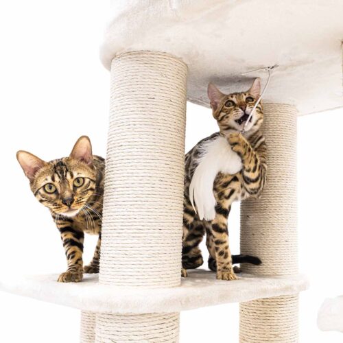 437453-Interstate-199-cream-27-500x500