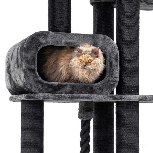 437455-Interstate-199-pepper-19-500x500