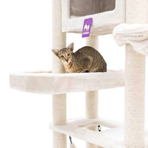 435995-Mansion-150-cream-12-500x500